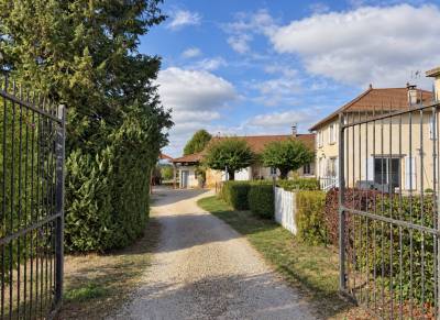 Proprietà equestre in vendita ain