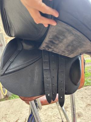 Selle gbs