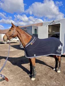 Quenelle d'archonfosse, 10y, jument cso