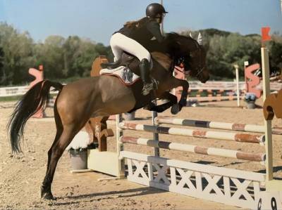 vendo doppio pony