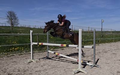 Poney de 5 ans