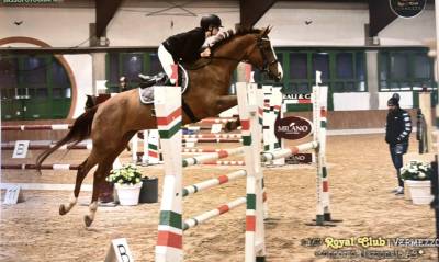 Castrone da salto 2012