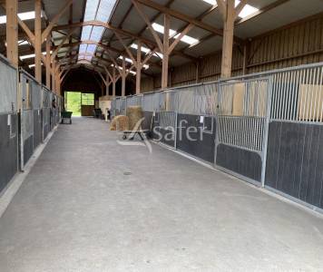 Haras d'élevage - pays d'auge