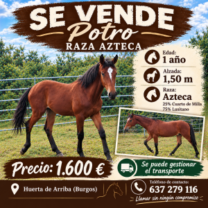 Potro azteca 