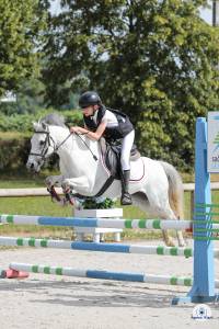 Draagmerrie welsh pony (section b) te koop 2010 schimmel