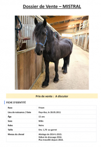 2 magnifiques frisons &agrave; vendre, si possible ensemble