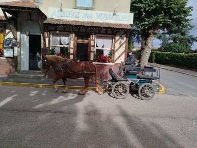 Noblesse, bretonne pp