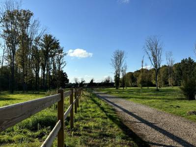à vendre  propriété équestre de 2,8 hectares à vimory (4