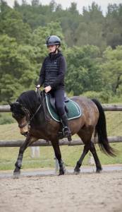 Ruin Andere pony rassen Te koop 2018 Isabel