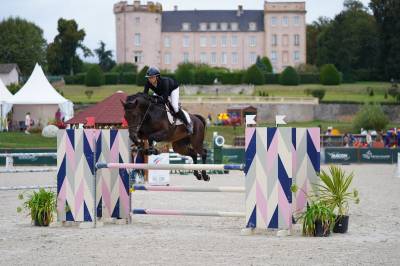 Jument - Oldenbourg - 8 ans - Dressage / CSO - France