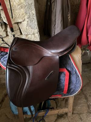 Selle type islandais 