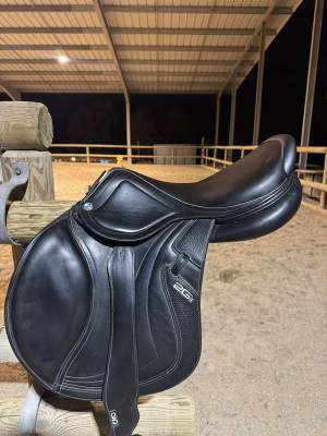 Sella mista cwd  17
