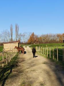 Equestrian property  dordogne