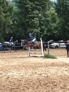 Vasantha d pony tedesca 18 anni 