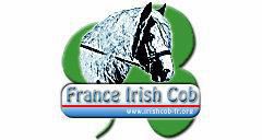 Association france irish cob