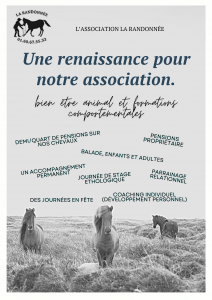 Pension chevaux - association la randonnée (77)