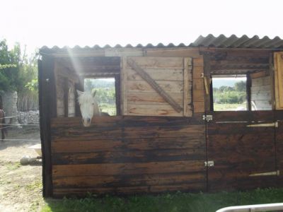 Pension paddock /boxe st julien les martigues