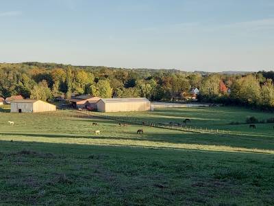 Pension chevaux pre - boxes