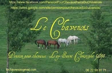 Le chavenois pension chevaux pré toute l'année nancy nd