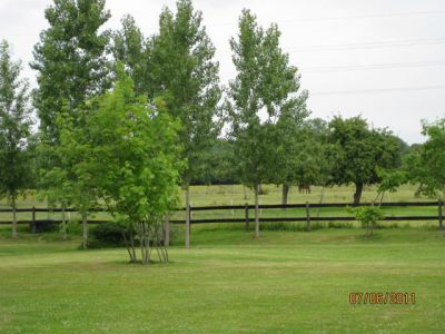 PROCHE DEAUVILLE- pension/retraite chevaux