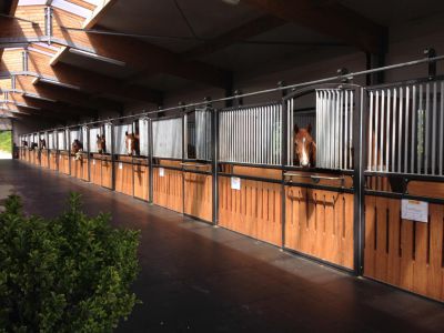 Tous types de pension chevaux 30 min / basel