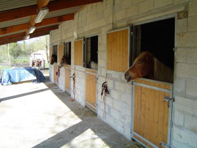 Pension pour chevaux secteur liancourt clermont