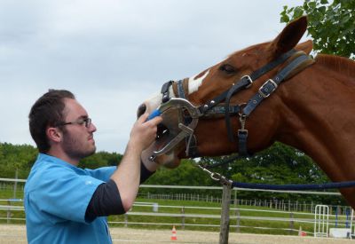 Equinerj - dentisterie équine