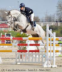 Valorisation jeunes chevaux