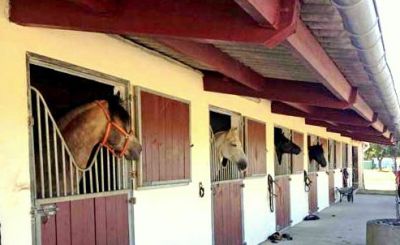 Centre equestre / ecurie de proprietaires