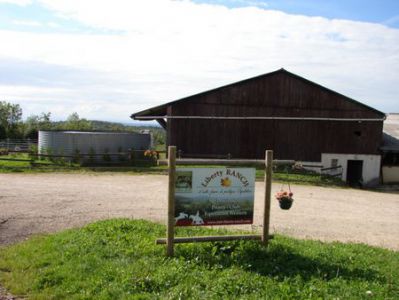 Pension , ecole equitation western & poney club