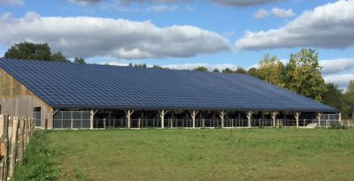 Pension chevaux aux ecuries des lions d'anjou