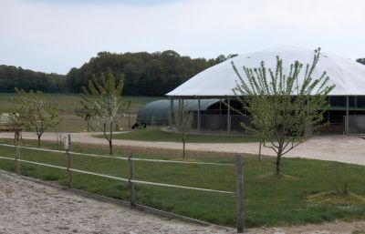 Pension paddock/box