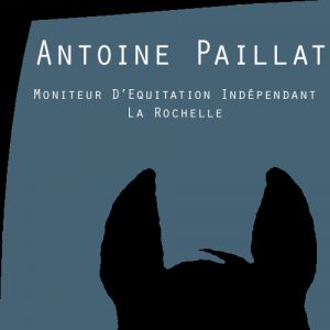 Antoine paillat - moniteur indépendant - la rochelle