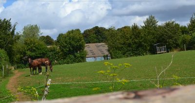 Pension chevaux poneys à 3min de caen 