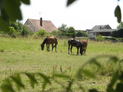 Ecuries de plainvilliers