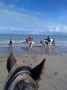 Pension chevaux/ plage baie du mont st michel 180€