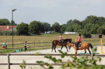 écurie de propriétaire spécialisée dressage