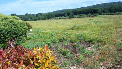 83 - ferme - 4.5 hectares terrain plat