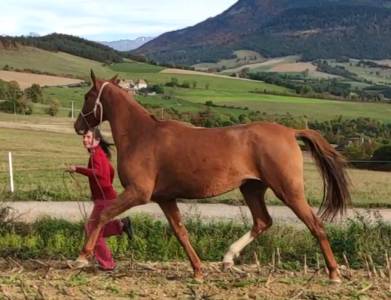 Hazyna, une princesse russe, dans l'écoute et l'énergie