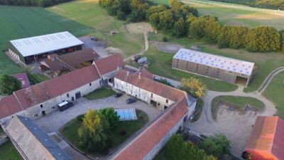 Pension chevaux boxe paddock