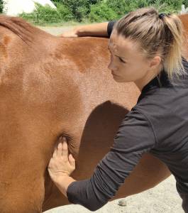 Lea montero masseuse naturopathe equin