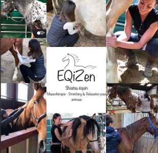 Eqizen 