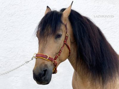Cabezada serreta lazypony, leather cavesson 