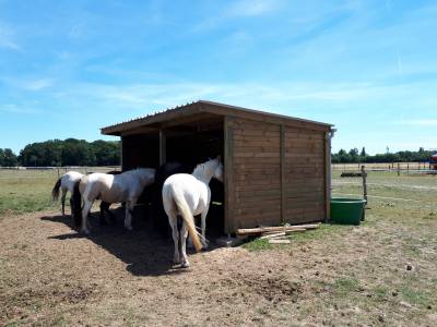 Pension chevaux à drucourt ( 27230)
