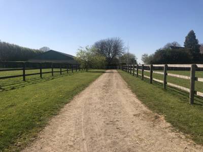Haras – 43 ha – normandie – nord d'argentan (61)