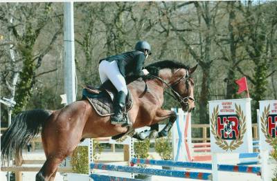 Top cheval 5 ans cso cce