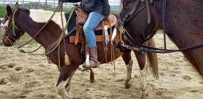 Cours d'équitation western