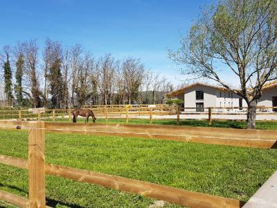 Boxes à louer dans domaine équestre à aix en prov (13)