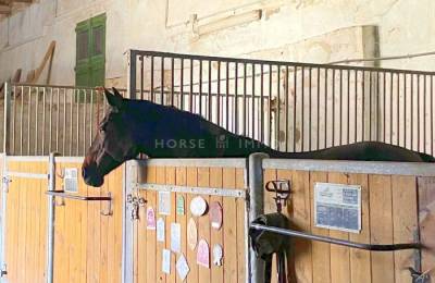 Equestrian property  hérault