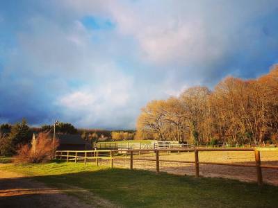 Pension écurie de propriétaires - haras de martras (49)